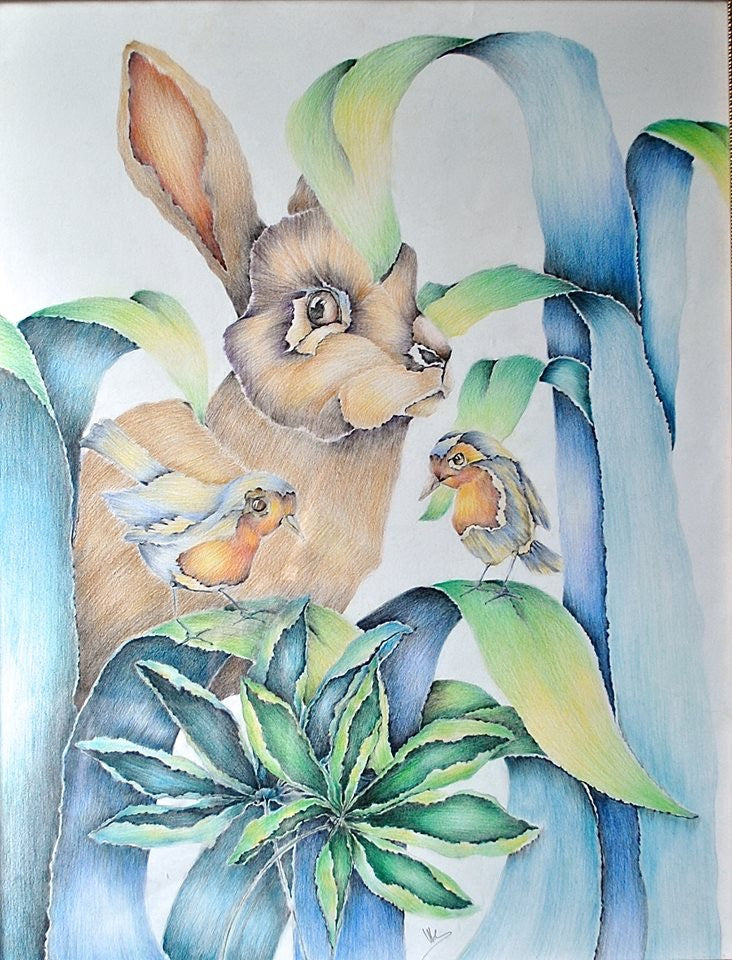 Illustrations