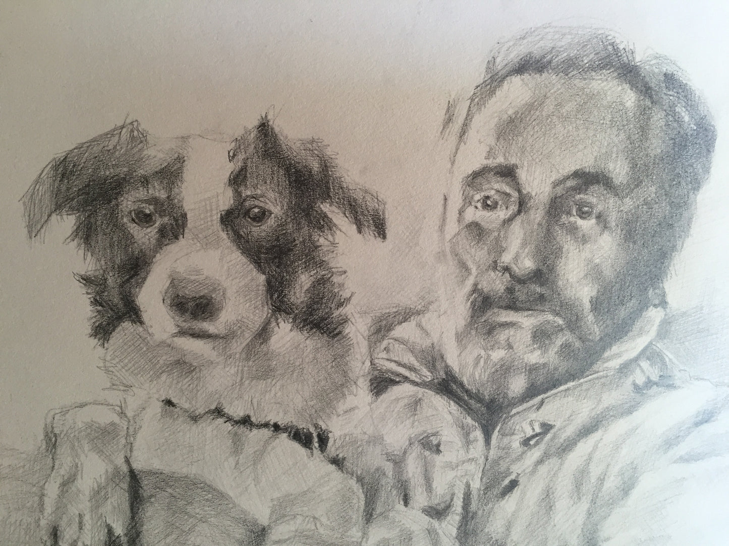 Portraits animaux