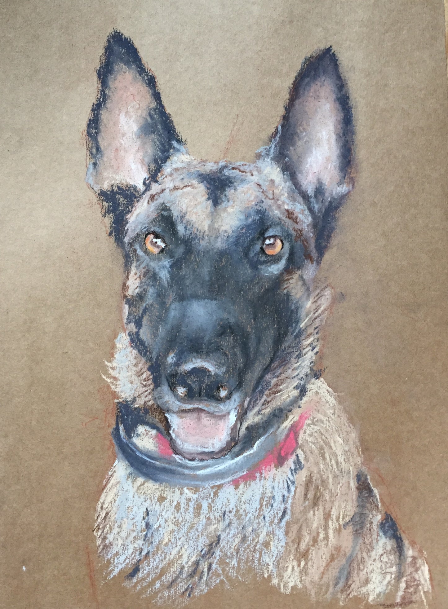 Portraits animaux
