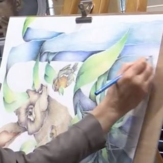 Illustrations